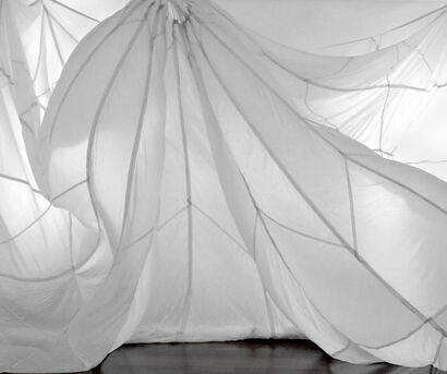 Drift - a Sculpture & Installation Artowrk by LYNNE ROBERTS-GOODWIN